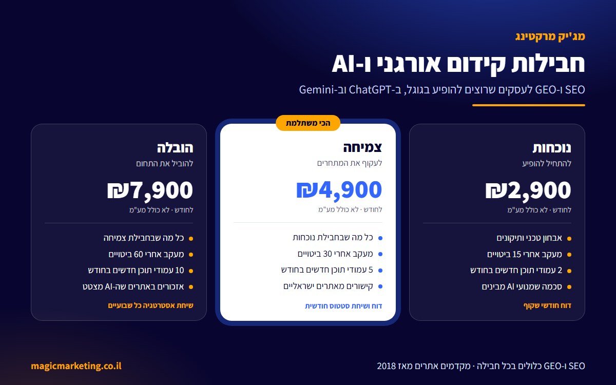חבילות קידום אורגני ו-AI לעסקים קטנים: נוכחות, צמיחה והובלה